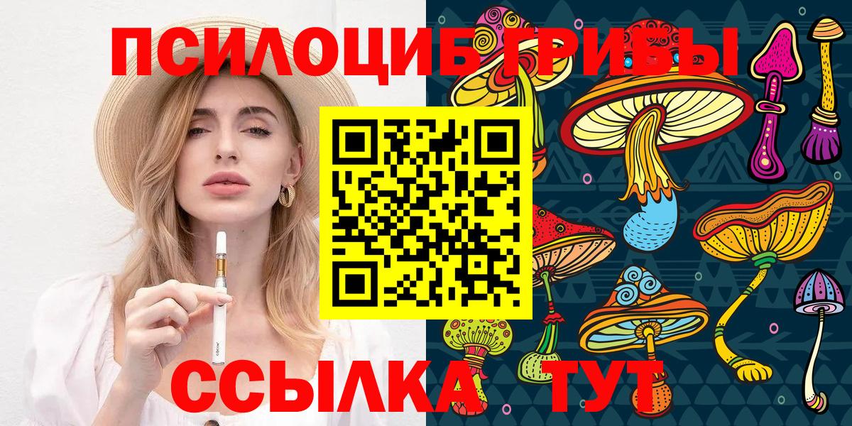 Псилоцибиновые грибы GOLDEN TEACHER Черногорск