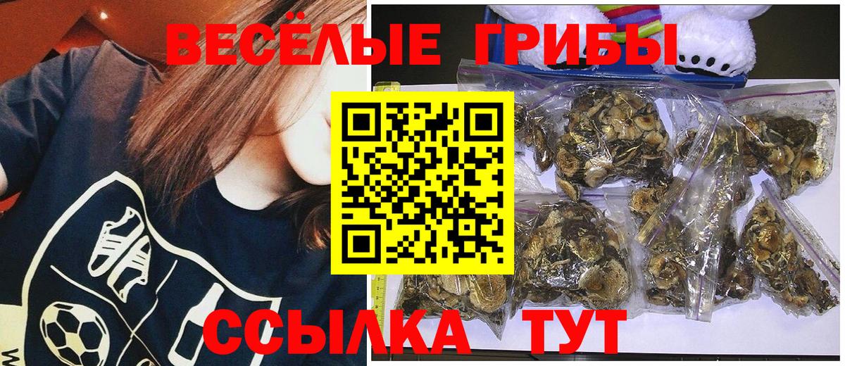 Черногорск  Псилоцибиновые грибы GOLDEN TEACHER  Вход с VPN 